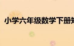 小学六年级数学下册知识点归纳整理江苏版