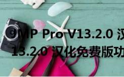 JMP Pro V13.2.0 汉化免费版（JMP Pro V13.2.0 汉化免费版功能简介）