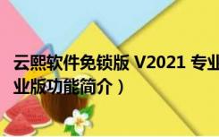 云熙软件免锁版 V2021 专业版（云熙软件免锁版 V2021 专业版功能简介）