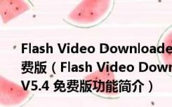 Flash Video Downloader(网页Flash视频下载器) V5.4 免费版（Flash Video Downloader(网页Flash视频下载器) V5.4 免费版功能简介）