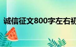 诚信征文800字左右初一（诚信征文800字）