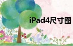 iPad4尺寸图（ipad4尺寸）