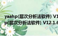 yaahp(层次分析法软件) V12.1.6916 免费无限制版（yaahp(层次分析法软件) V12.1.6916 免费无限制版功能简介）