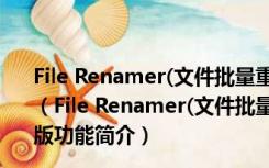 File Renamer(文件批量重命名工具) V19.5.15 绿色中文版（File Renamer(文件批量重命名工具) V19.5.15 绿色中文版功能简介）