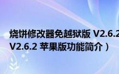 烧饼修改器免越狱版 V2.6.2 苹果版（烧饼修改器免越狱版 V2.6.2 苹果版功能简介）