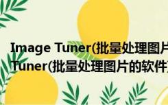 Image Tuner(批量处理图片的软件) V6.8 汉化版（Image Tuner(批量处理图片的软件) V6.8 汉化版功能简介）