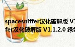 spacesniffer汉化破解版 V1.1.2.0 绿色免费版（spacesniffer汉化破解版 V1.1.2.0 绿色免费版功能简介）