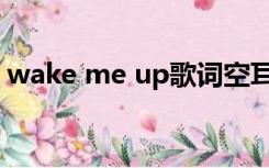 wake me up歌词空耳（wake me up歌词）