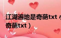 江湖遍地是奇葩txt 小说百度云（江湖遍地是奇葩txt）