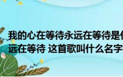 我的心在等待永远在等待是什么时候的歌（我的心在等待 永远在等待 这首歌叫什么名字）