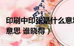 印刷中印张是什么意思（请问一下印张是什么意思 谁晓得）