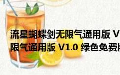 流星蝴蝶剑无限气通用版 V1.0 绿色免费版（流星蝴蝶剑无限气通用版 V1.0 绿色免费版功能简介）