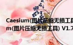 Caesium(图片压缩无损工具) V1.7.0 破解免费版（Caesium(图片压缩无损工具) V1.7.0 破解免费版功能简介）