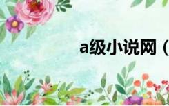 a级小说网（a级小说网）