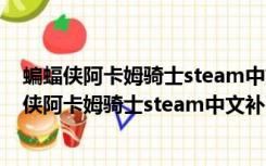 蝙蝠侠阿卡姆骑士steam中文补丁 V1.7 绿色免费版（蝙蝠侠阿卡姆骑士steam中文补丁 V1.7 绿色免费版功能简介）