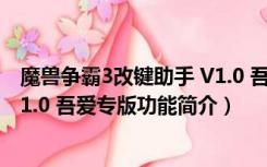 魔兽争霸3改键助手 V1.0 吾爱专版（魔兽争霸3改键助手 V1.0 吾爱专版功能简介）