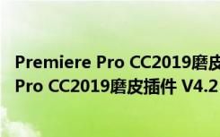 Premiere Pro CC2019磨皮插件 V4.2 汉化版（Premiere Pro CC2019磨皮插件 V4.2 汉化版功能简介）