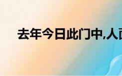 去年今日此门中,人面桃花相映红啥意思