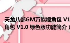 天龙八部GM万能视角包 V1.0 绿色版（天龙八部GM万能视角包 V1.0 绿色版功能简介）