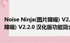 Noise Ninja(图片降噪) V2.2.0 汉化版（Noise Ninja(图片降噪) V2.2.0 汉化版功能简介）