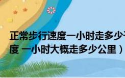 正常步行速度一小时走多少千米（正常成年人步行正常的速度 一小时大概走多少公里）