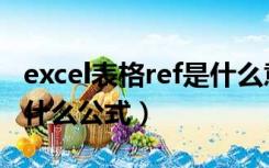 excel表格ref是什么意思（excel表格 REF 是什么公式）