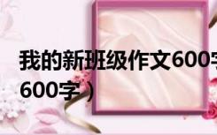 我的新班级作文600字高一（我的新班级作文600字）