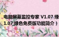 电脑屏幕监控专家 V1.07 绿色免费版（电脑屏幕监控专家 V1.07 绿色免费版功能简介）