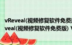 vReveal(视频修复软件免费版) V3.2.0.13029 官方版（vReveal(视频修复软件免费版) V3.2.0.13029 官方版功能简介）