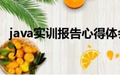 java实训报告心得体会五百字（java实训报告）