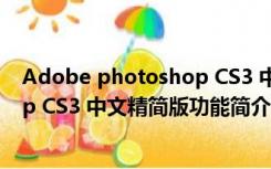 Adobe photoshop CS3 中文精简版（Adobe photoshop CS3 中文精简版功能简介）