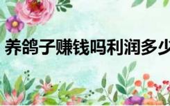 养鸽子赚钱吗利润多少（鸽子养殖成本利润）