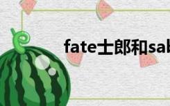 fate士郎和saber补魔无和谐