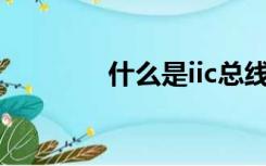 什么是iic总线（什么是IIT）