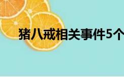 猪八戒相关事件5个（猪八戒杀人事件）