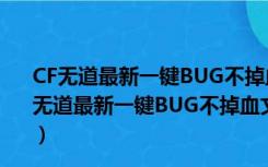 CF无道最新一键BUG不掉血文件 beta26 绿色免费版（CF无道最新一键BUG不掉血文件 beta26 绿色免费版功能简介）