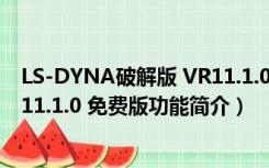 LS-DYNA破解版 VR11.1.0 免费版（LS-DYNA破解版 VR11.1.0 免费版功能简介）