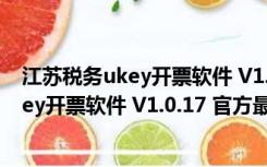 江苏税务ukey开票软件 V1.0.17 官方最新版（江苏税务ukey开票软件 V1.0.17 官方最新版功能简介）