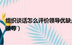 组织谈话怎么评价领导优缺点党委书记（组织谈话怎么评价领导）