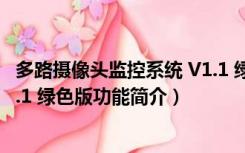 多路摄像头监控系统 V1.1 绿色版（多路摄像头监控系统 V1.1 绿色版功能简介）