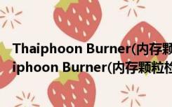 Thaiphoon Burner(内存颗粒检测软件) V12 汉化版（Thaiphoon Burner(内存颗粒检测软件) V12 汉化版功能简介）