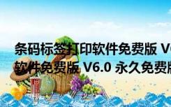 条码标签打印软件免费版 V6.0 永久免费版（条码标签打印软件免费版 V6.0 永久免费版功能简介）