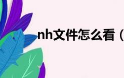 nh文件怎么看（nh是什么格式）