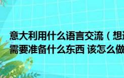 意大利用什么语言交流（想通过学语言去意大利帕多瓦大学需要准备什么东西 该怎么做）