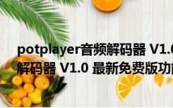 potplayer音频解码器 V1.0 最新免费版（potplayer音频解码器 V1.0 最新免费版功能简介）