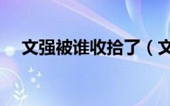 文强被谁收拾了（文强后台替文强报复）