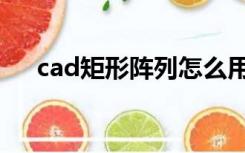 cad矩形阵列怎么用（cad矩阵怎么用）