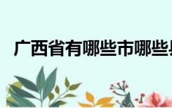 广西省有哪些市哪些县（广西省有哪些市）