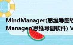 MindManager(思维导图软件) V10.0.445 中文版（MindManager(思维导图软件) V10.0.445 中文版功能简介）