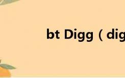 bt Digg（diggbt搜索引擎）